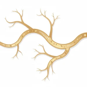 ゲンタシン軟膏とは｜皮膚感染症への効果・塗り方・副作用を池袋の皮膚科医が解説