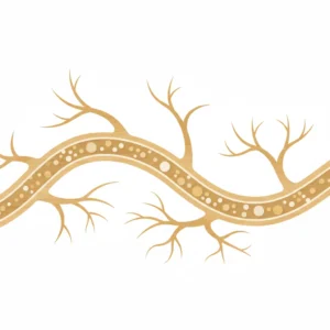 ルパタジン（ルパフィン）とは｜池袋の皮膚科が鼻炎・蕁麻疹での使い方を解説