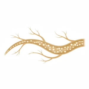 ハイチオール（L-システイン）とは｜池袋の皮膚科が使い方を解説
