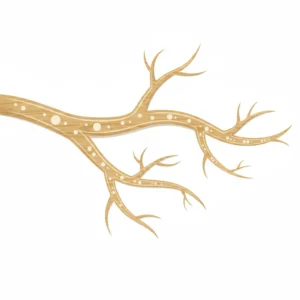 タチオン（グルタチオン）とは｜池袋の皮膚科が使い方と注意点を解説