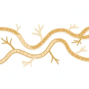 ミヤBMとは｜池袋の皮膚科で抗菌薬と一緒に確認したい整腸剤